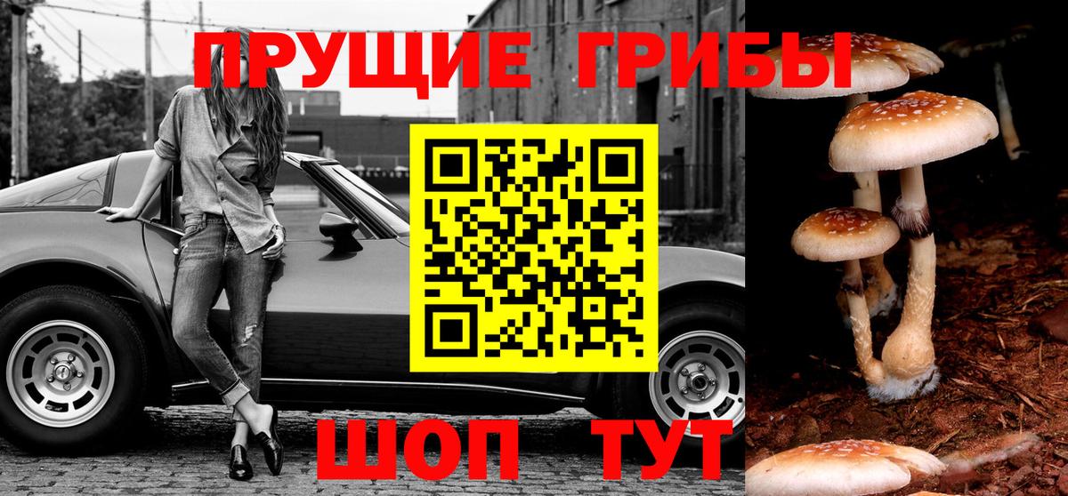 Псилоцибиновые грибы ЛСД Воткинск